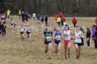 Senior women, 2018 Northern Cross Country Champs., Harewood House, Leeds. Photo: David T. Hewitson/Sports for All Pics